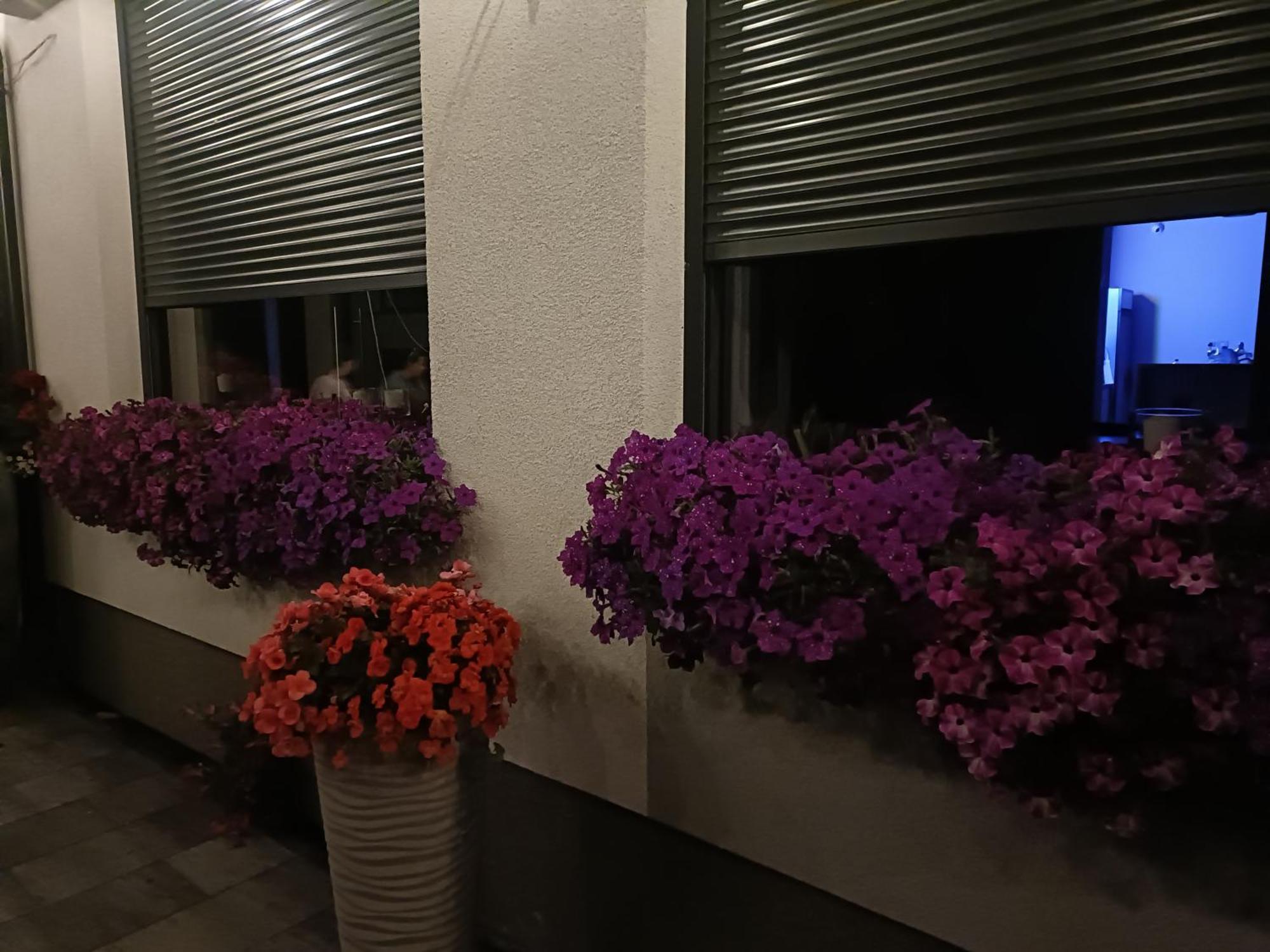 Lesne Niebo Hotel Lubniewice Buitenkant foto